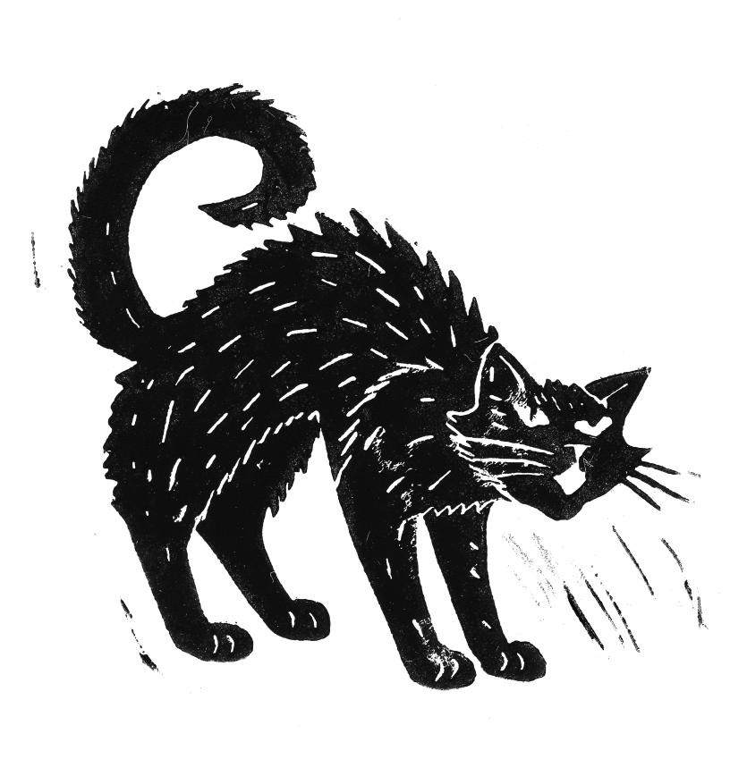 „Fauchende Katze“.