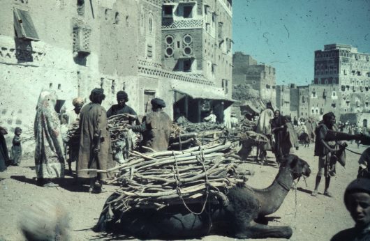 Wood market, Sanaa, Yemen, market scene, camel, merchants, buildings, houses, architecture, gunstock  