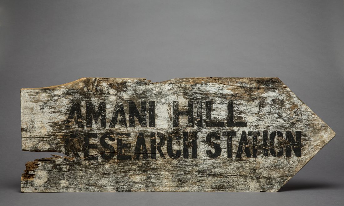 Schild der Forschungsstation Amani (Tanzania) – © MARKK, Paul Schimweg
