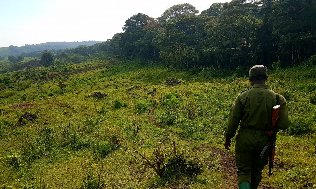 Patrouille im Virunga Nationalpark, ©Raven Rascher –