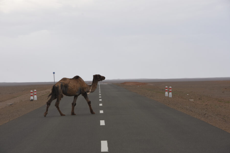 New road in the Gobi desert