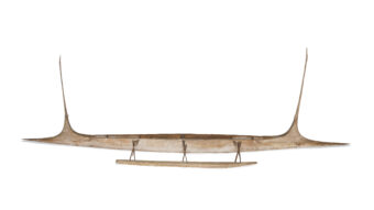 wooden canoe, view from the side