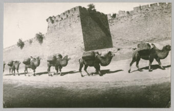 Kamelkarawane vor der Stadtmauer, Slg. Theodor-Wilhelm Danzel, 1932, China, Beijing, MARKK – © MARKK Historische Fotografier Kamelkarawane vor der Stadtmauer