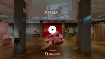 3D Rundgang KATZEN!