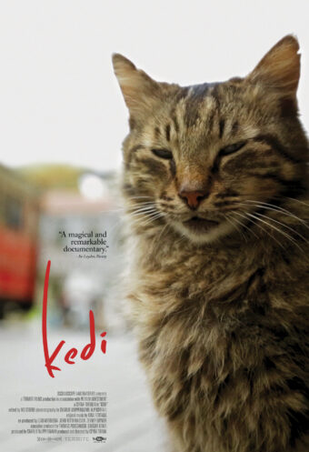 Kedi - Plakat -Credit:Oscilloscope Laboratories h –