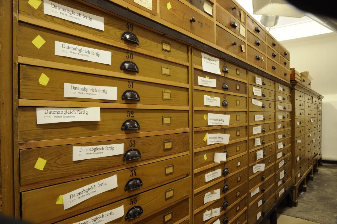 museum cabinets, data matching, colour photograph