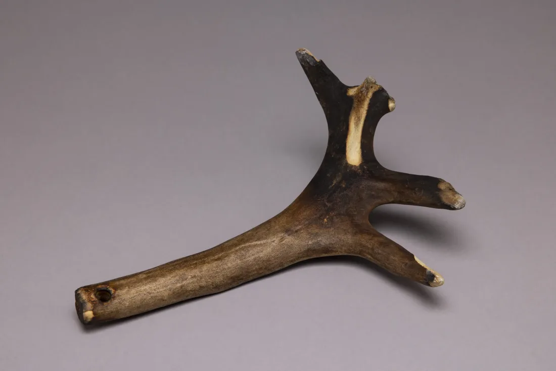 Rake made of reindeer horn for scraping together the embers